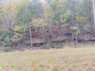 Land For Sale In Arkansas - image 27