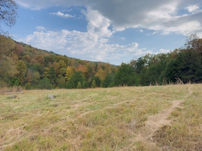 Land For Sale In Arkansas - image 31