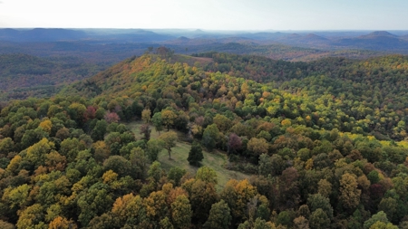Land For Sale In Arkansas - image 9