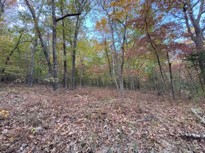 Land For Sale In Arkansas - image 40