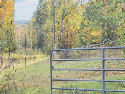 Land For Sale In Arkansas - image 26