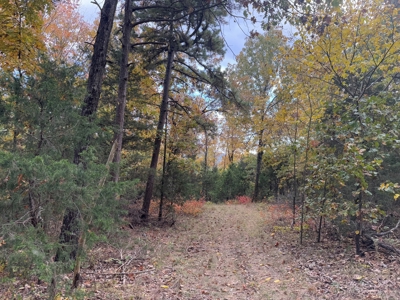 Land For Sale In Arkansas - image 38