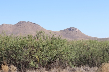 40 Acres with electric Near Willcox AZ - image 1
