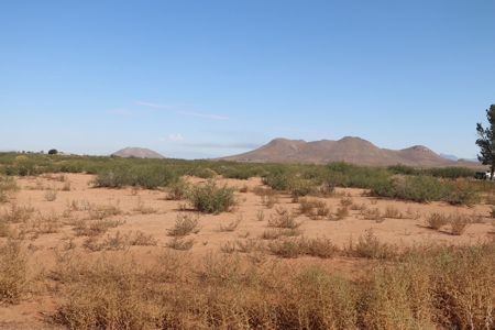 40 Acres with electric Near Willcox AZ - image 3