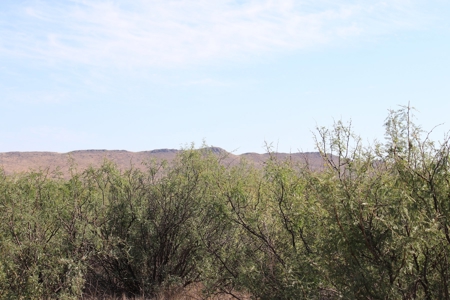 40 Acres with electric Near Willcox AZ - image 2