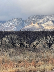 40 acres mostly flat land in an L Shape.in Pearce, AZ - image 3