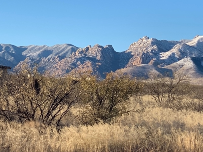 40 acres mostly flat land in an L Shape.in Pearce, AZ - image 1