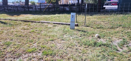Investment Opportunity in Mertzon, Texas near San Angelo - image 2