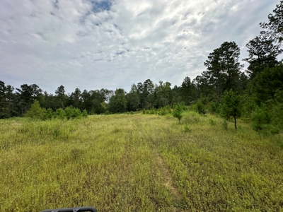 East Texas Hunting/Recreational/Timber Tract For Sale - image 21