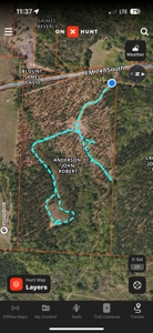 East Texas Hunting/Recreational/Timber Tract For Sale - image 24