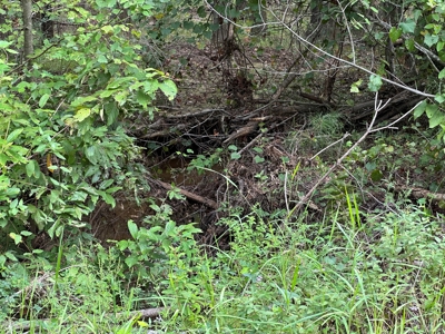 East Texas Hunting/Recreational/Timber Tract For Sale - image 22