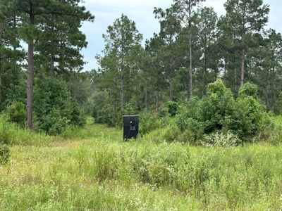 East Texas Hunting/Recreational/Timber Tract For Sale - image 9