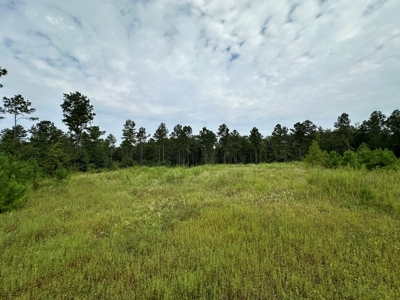 East Texas Hunting/Recreational/Timber Tract For Sale - image 20