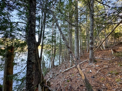 2± Acre Lot in Scenic Edmunds Township, Maine - image 14