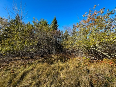 2± Acre Lot in Scenic Edmunds Township, Maine - image 7