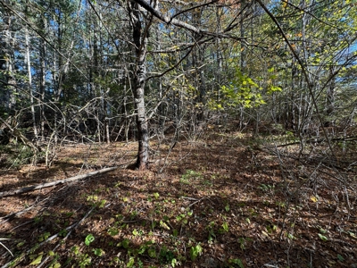2± Acre Lot in Scenic Edmunds Township, Maine - image 20