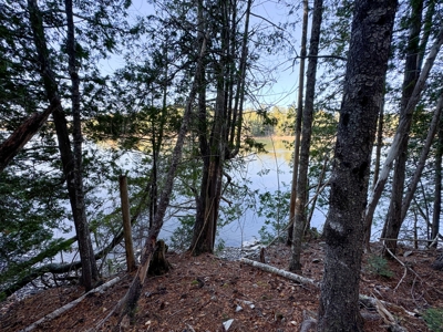 2± Acre Lot in Scenic Edmunds Township, Maine - image 18