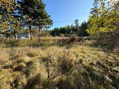 2± Acre Lot in Scenic Edmunds Township, Maine - image 9
