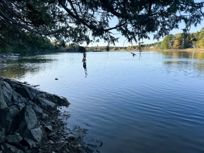 2± Acre Lot in Scenic Edmunds Township, Maine - image 17
