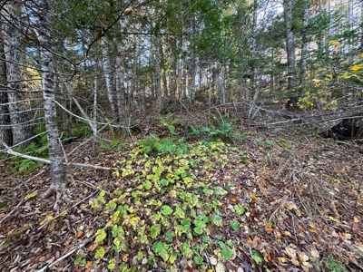 2± Acre Lot in Scenic Edmunds Township, Maine - image 11