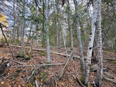 2± Acre Lot in Scenic Edmunds Township, Maine - image 15