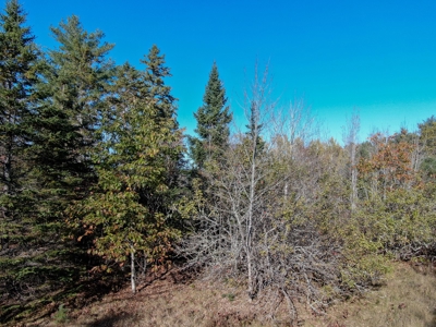 2± Acre Lot in Scenic Edmunds Township, Maine - image 5