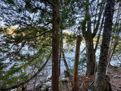 2± Acre Lot in Scenic Edmunds Township, Maine - image 13