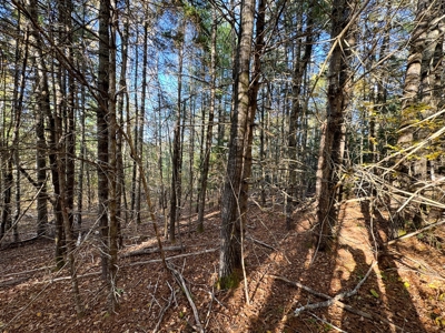 2± Acre Lot in Scenic Edmunds Township, Maine - image 19
