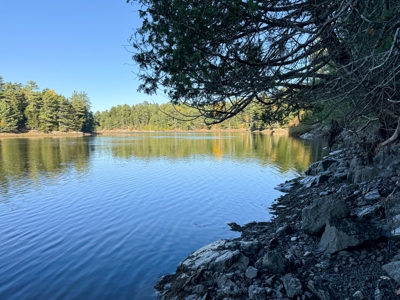 2± Acre Lot in Scenic Edmunds Township, Maine - image 16