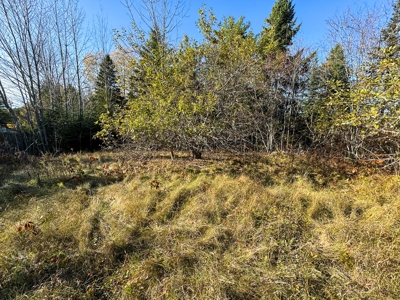 2± Acre Lot in Scenic Edmunds Township, Maine - image 8