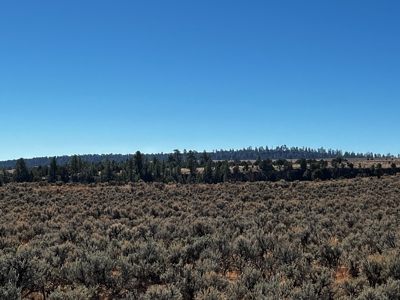 Secluded Mountain Property Close To Lake El Vado - image 8