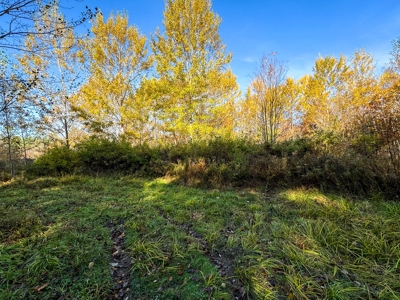41 Acres of Land in Passadumkeag, Maine - image 15