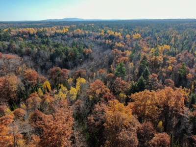 41 Acres of Land in Passadumkeag, Maine - image 7