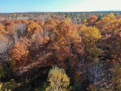 41 Acres of Land in Passadumkeag, Maine - image 6