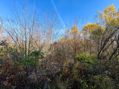 41 Acres of Land in Passadumkeag, Maine - image 11