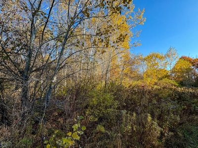 41 Acres of Land in Passadumkeag, Maine - image 14