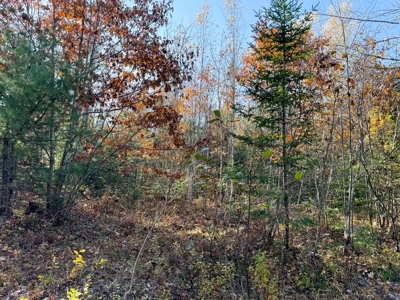 41 Acres of Land in Passadumkeag, Maine - image 20
