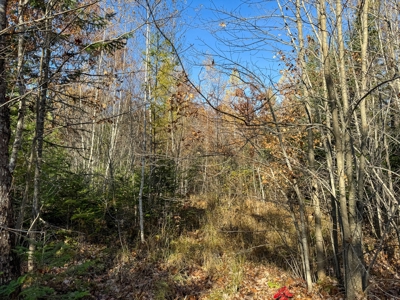 41 Acres of Land in Passadumkeag, Maine - image 18
