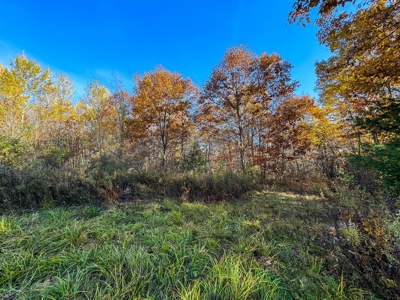 41 Acres of Land in Passadumkeag, Maine - image 16