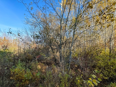 41 Acres of Land in Passadumkeag, Maine - image 13