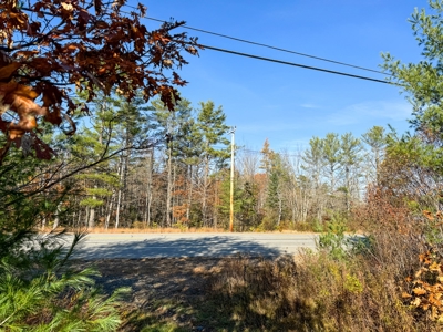41 Acres of Land in Passadumkeag, Maine - image 9