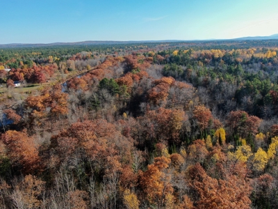 41 Acres of Land in Passadumkeag, Maine - image 5