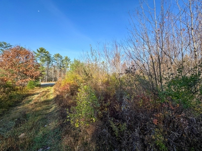 41 Acres of Land in Passadumkeag, Maine - image 12