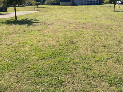 Tn River View Lot Near Fishing With Concrete Pad - image 10