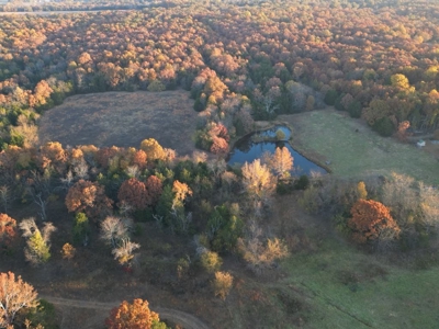 Charming Home on 30 acres with a beautiful pond and creek. - image 5