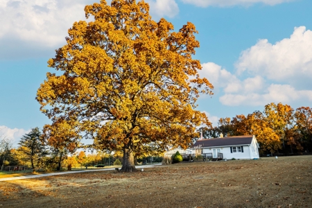 Charming Home on 30 acres with a beautiful pond and creek. - image 1