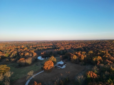 Charming Home on 30 acres with a beautiful pond and creek. - image 8