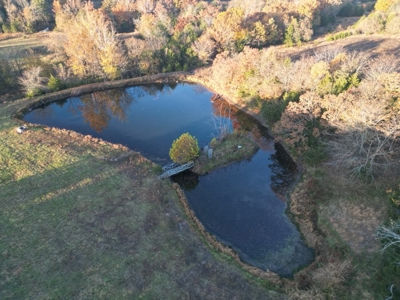 Charming Home on 30 acres with a beautiful pond and creek. - image 12