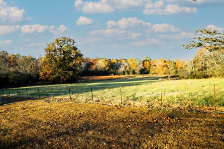Charming Home on 30 acres with a beautiful pond and creek. - image 21