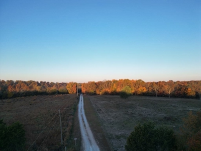 Charming Home on 30 acres with a beautiful pond and creek. - image 4